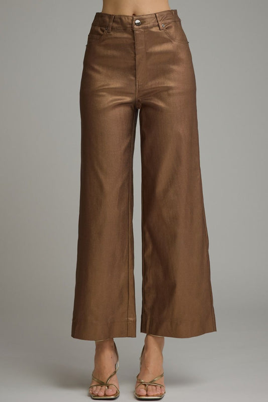 Metallic Pants